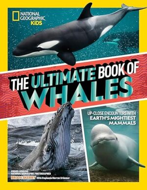 NEW!  The Ultimate Book of Whales